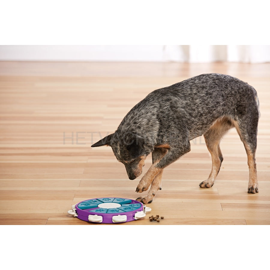 Nina Ottosson Dog Twister Hondenpuzzel (Level 3) Hondenspeeltjes