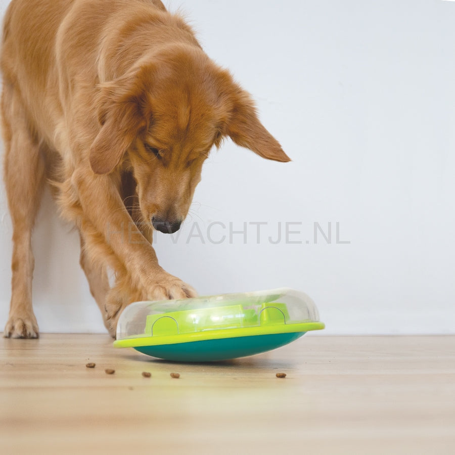 Nina Ottosson Wobble Bowl Hondenpuzzel (Level 1) Hondenspeeltjes