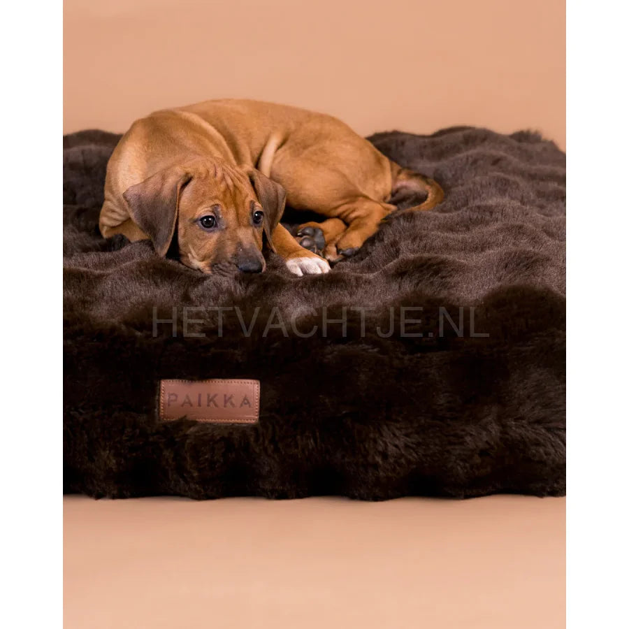 Paikka - Orthopedic Plush Bed Lounge Hondenmand