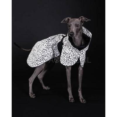 Paikka - Raincoat 2.0