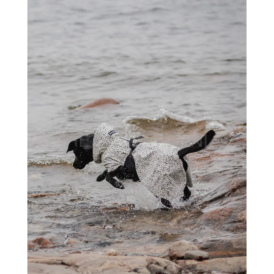 Paikka - Raincoat 2.0