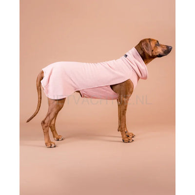 Paikka - Seawool Overhemd voor Honden Rose