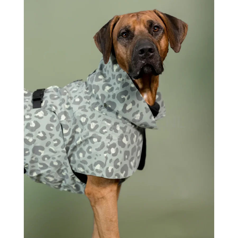 Paikka - Visibility Raincoat Lite Groen Leo