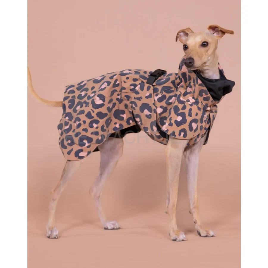 Paikka - Visibility Raincoat Lite Leo