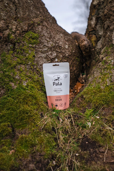 PALA - 100% Deer dog treats