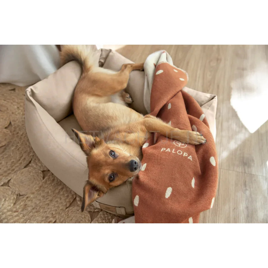 Palopa - Hondenbed Dog Bed Fred Humus