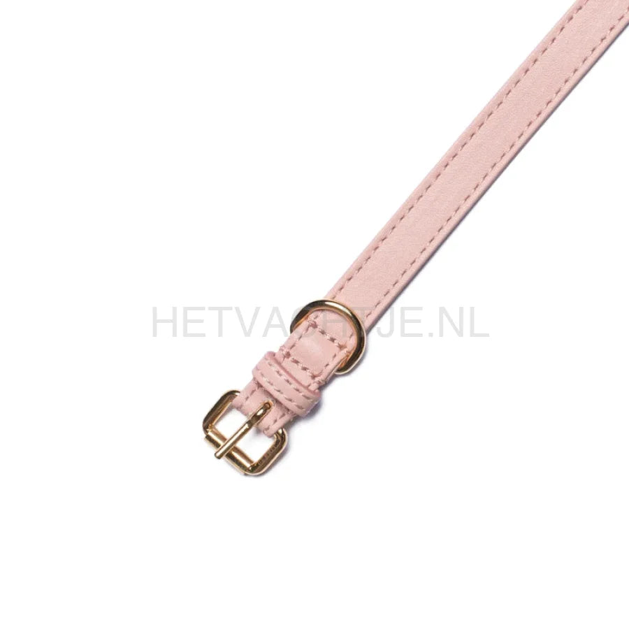 Perro Collection - Blush Halsband