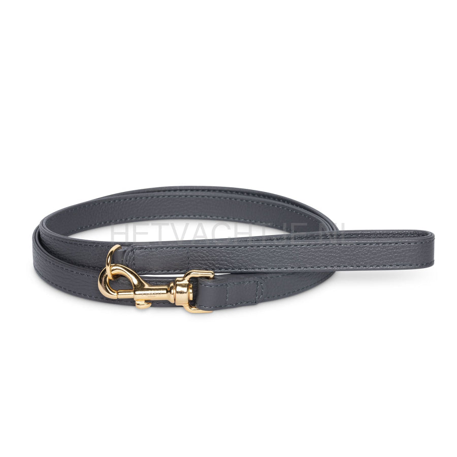 Perro Collection - Dark Grey Lijn Hondenlijn