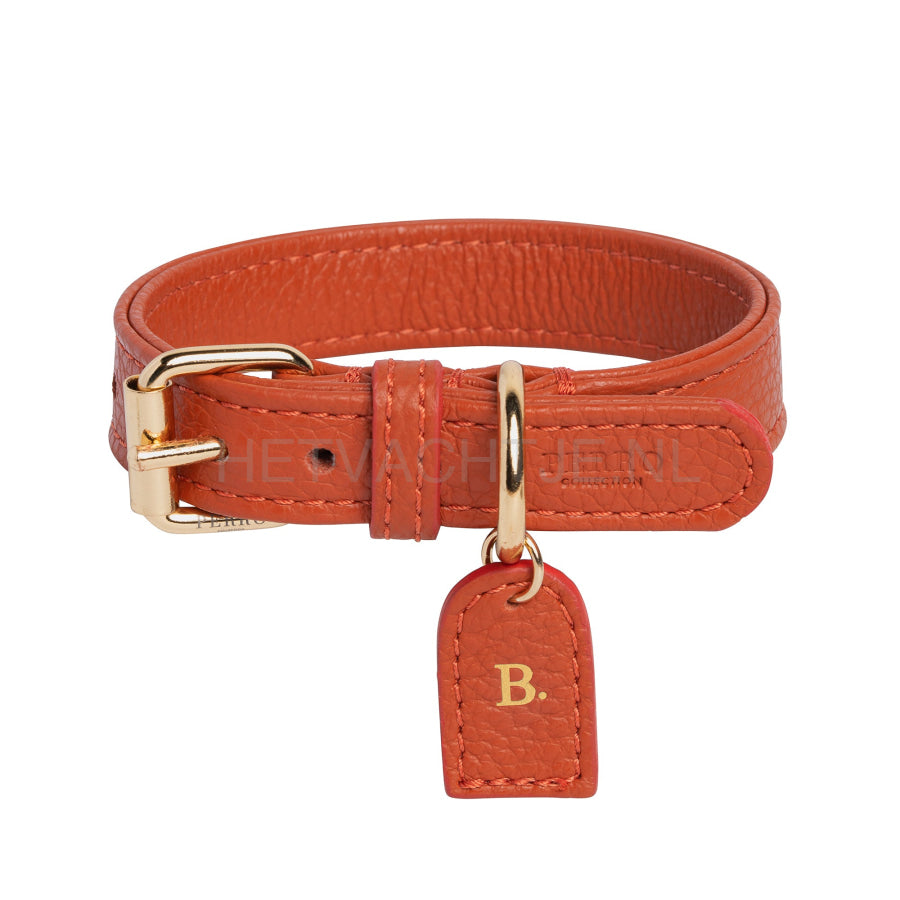 Perro Collection - Ginger Halsband Halsbanden En Tuigjes Voor Huisdieren