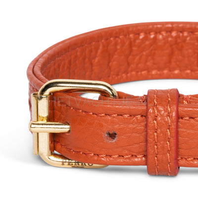 Perro Collection - Ginger Halsband Halsbanden En Tuigjes Voor Huisdieren