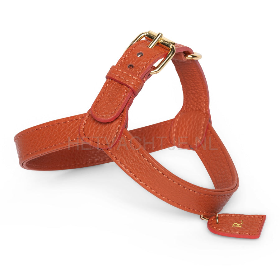 Perro Collection - Ginger Hondentuig