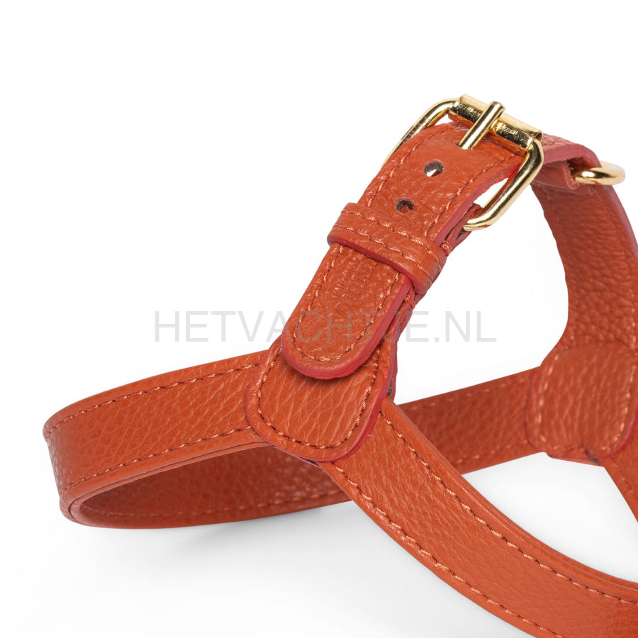Perro Collection - Ginger Hondentuig