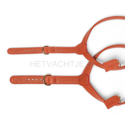 Perro Collection - Ginger Hondentuig