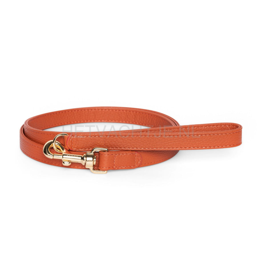 Perro Collection - Ginger Lijn Hondenlijnen