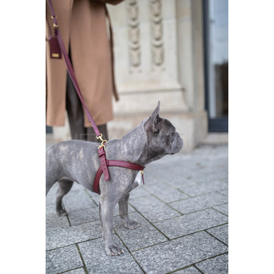 Perro Collection - Merlot Hondentuig