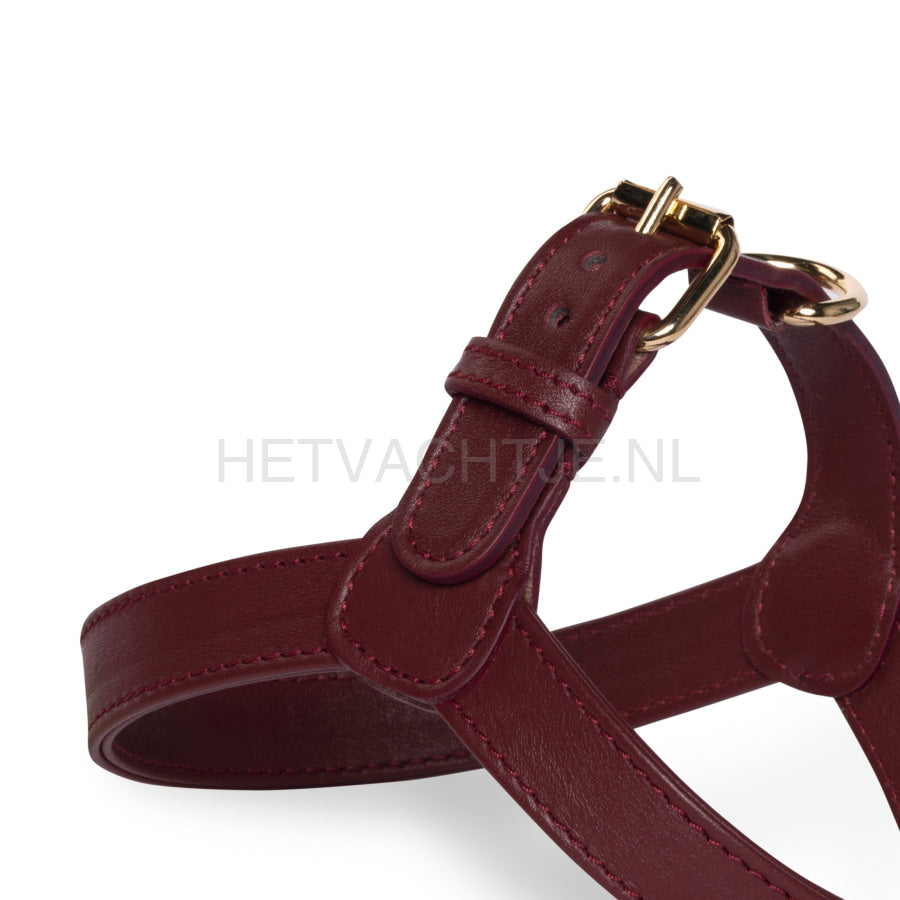 Perro Collection - Merlot Hondentuig