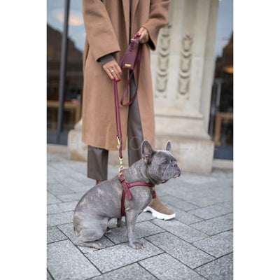 Perro Collection - Poepzakhouder Hondenpoepzakjes