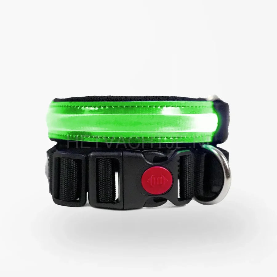 PettyItalia - LED-halsband Groen