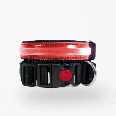 Pettyitalia - LED-halsband Rood