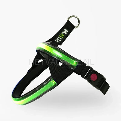 PettyItalia - Norwegian LED tuid Groen