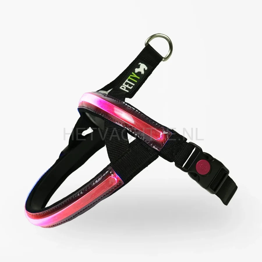 PettyItalia - Norwegian LED tuig Rood