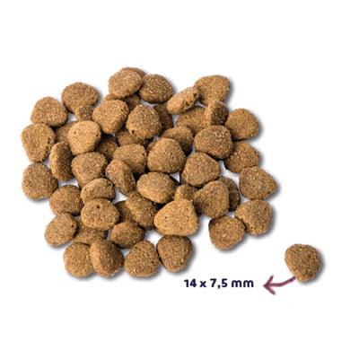 Renske - Eend Met Konijn