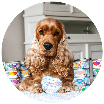 Renske - Kalkoen Met Eend