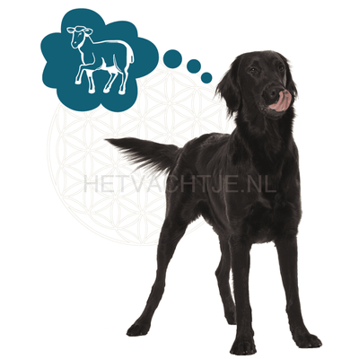 Renske - Lam Graanvrij