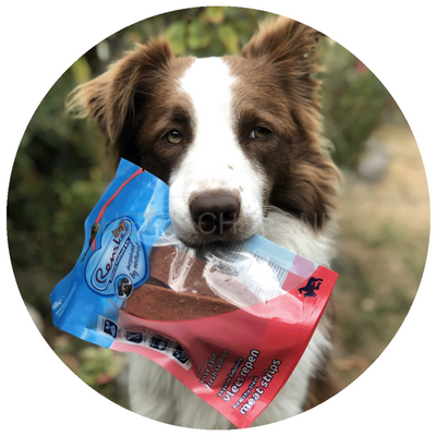 Renske - Vlees Repen Zalm