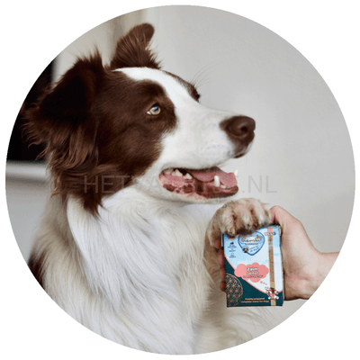 Renske - Zalm Graanvrij