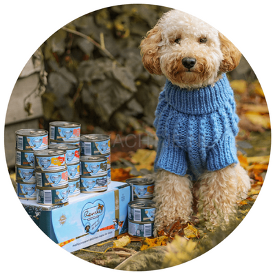 Renske - Zalm Graanvrij