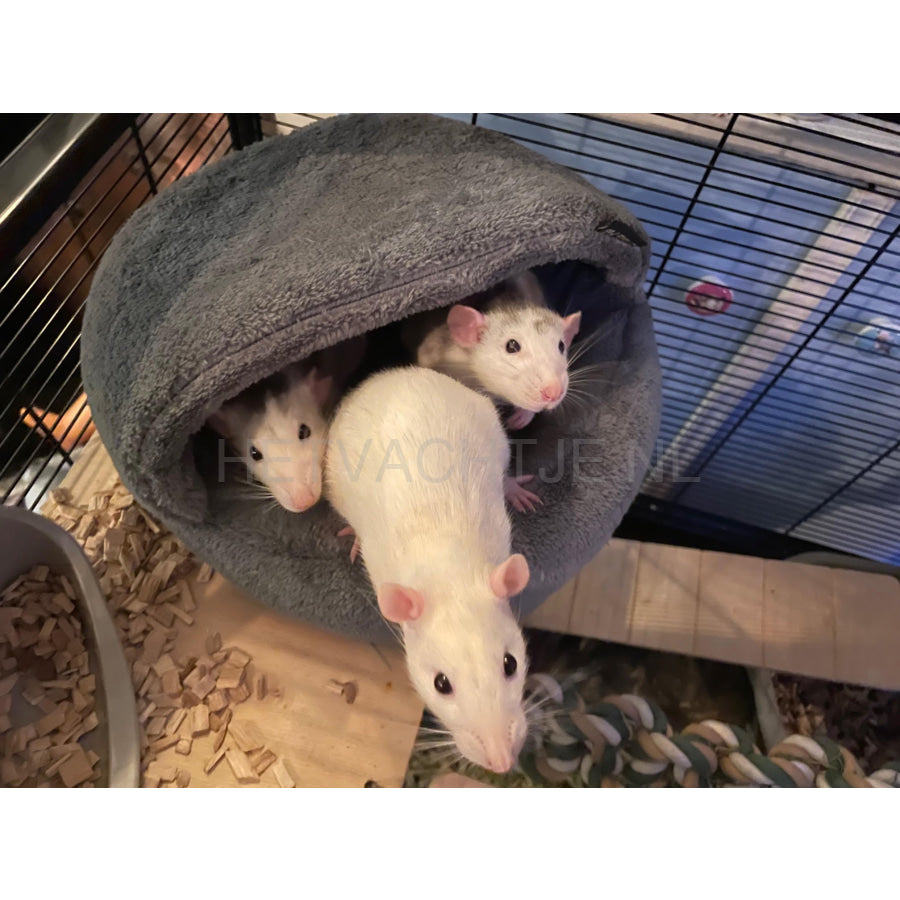 Slipper Bed Olalapets