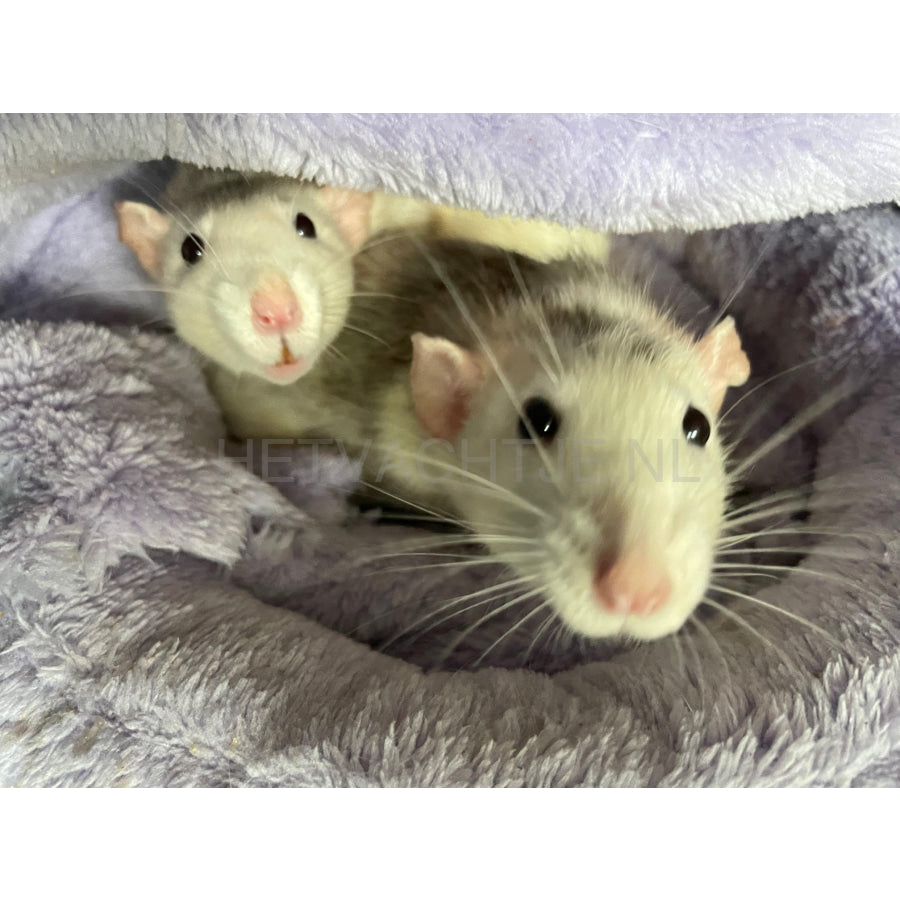 Slipper Bed Olalapets