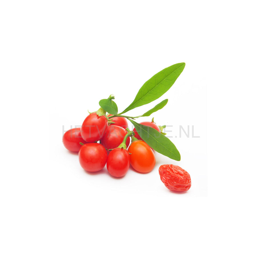 Vigor & Sage Goji Berry-Being Large Puppyvoer Grote Hondenrassen Hondenvoeding