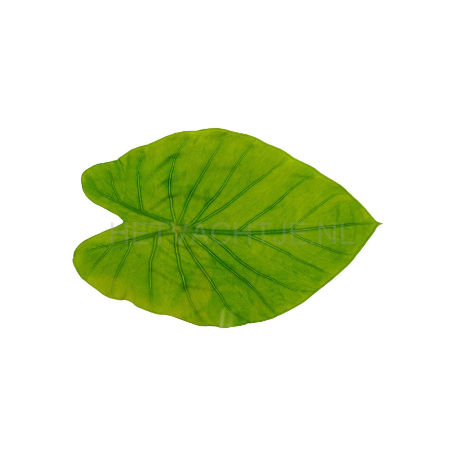 Vigor & Sage Lotus Leaf Weight Control Volwassen Honden Hondenvoeding