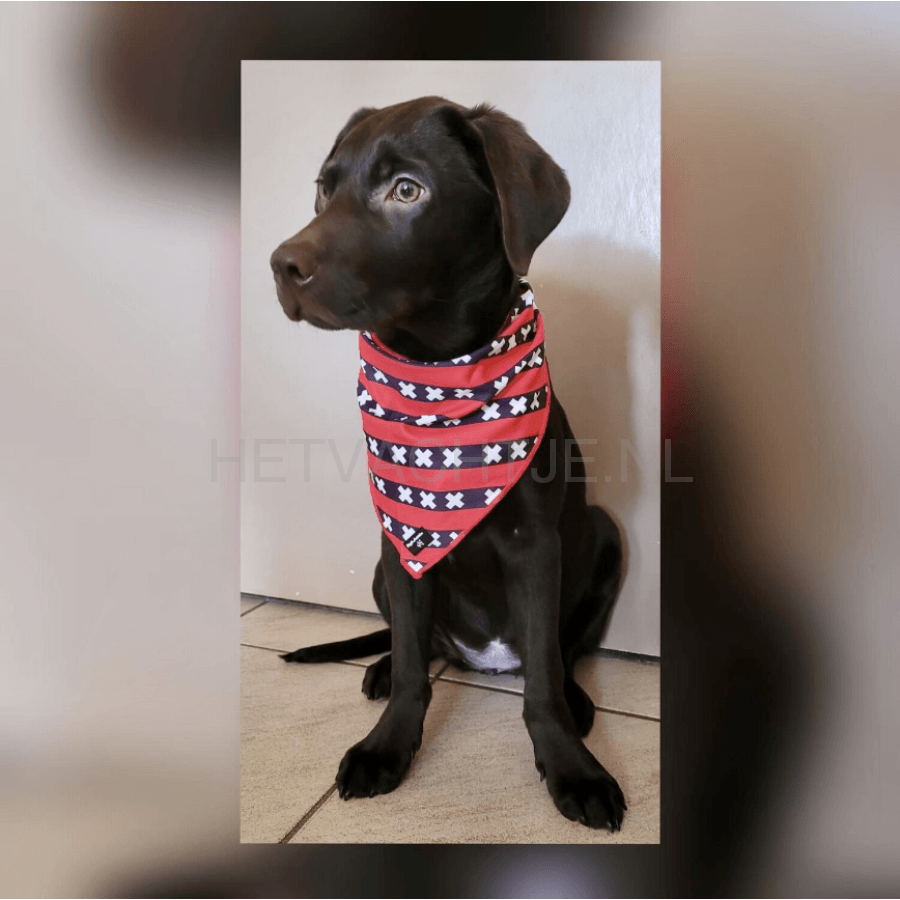 Waggle Amsterdam - Honden Halsdoek L