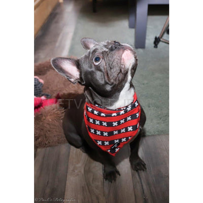Waggle Amsterdam - Honden Halsdoek M
