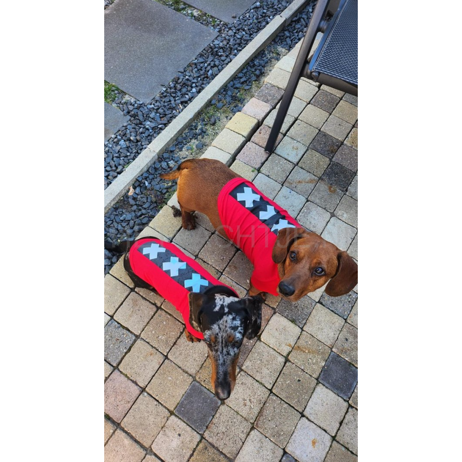 Waggle Amsterdam Shirt