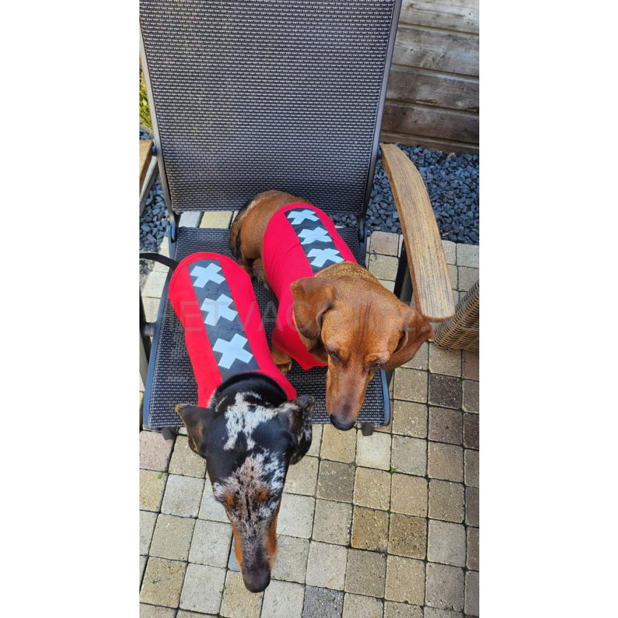 Waggle Amsterdam Shirt