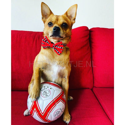 Waggle Amsterdam - Strik S