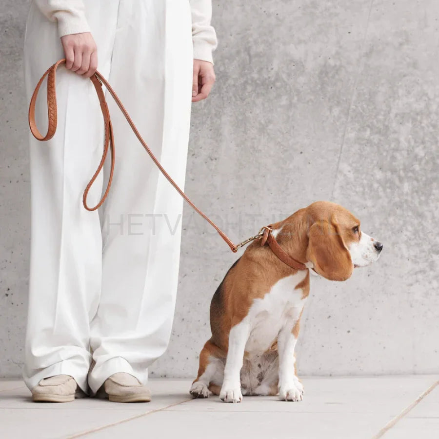 Wiliam Walker - Hoogwaardige leren hondenriem Prestige Caramel