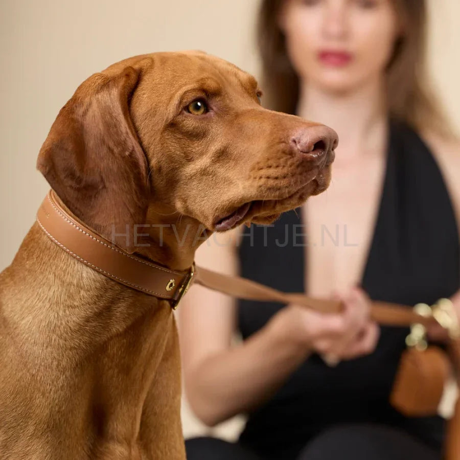 william Walker - Glad leren halsband Karamel
