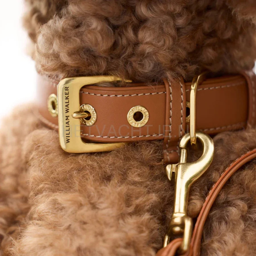 william Walker - Glad leren halsband Karamel