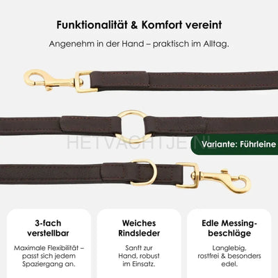 William Walker - Hoogwaardige leren hondenriem Aarde