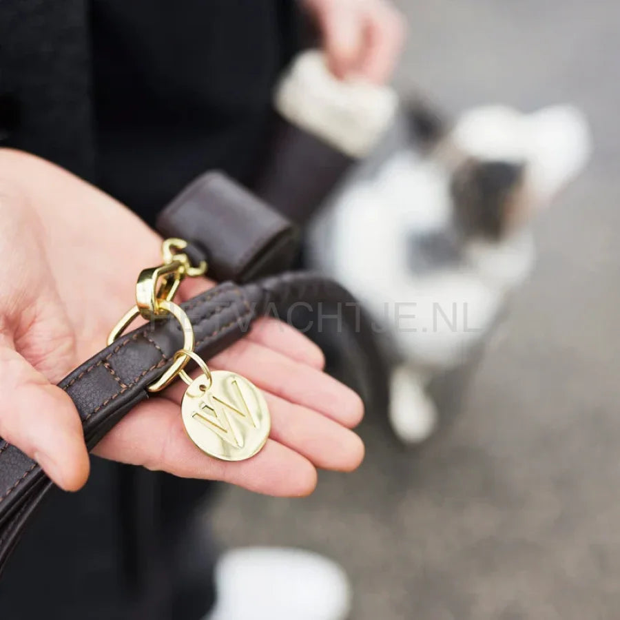 William Walker - Hoogwaardige leren hondenriem Twisted Earth