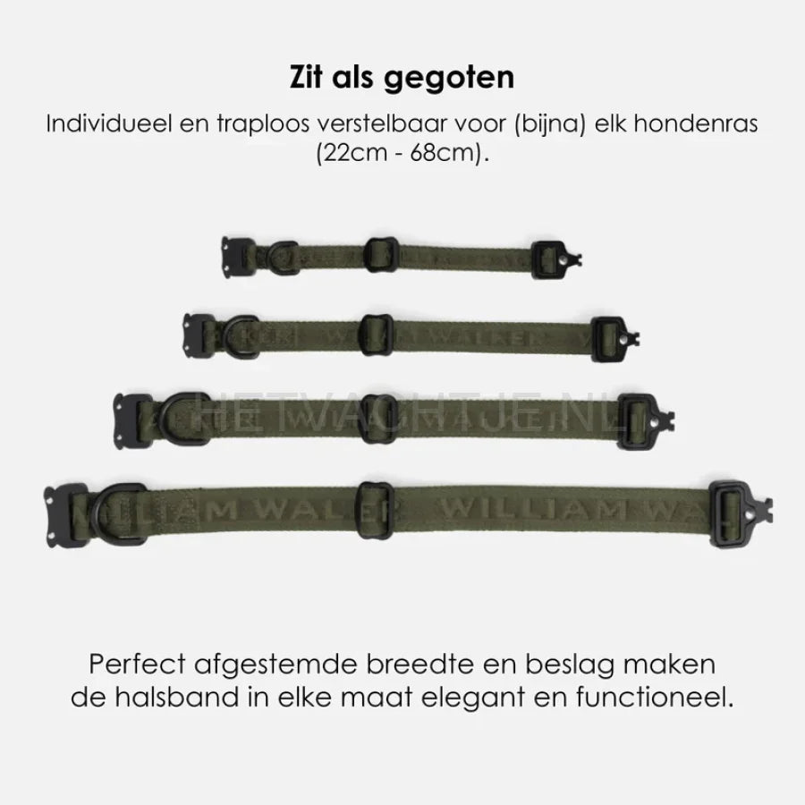 William Walker - Jacquard nylon hondenhalsband Forest