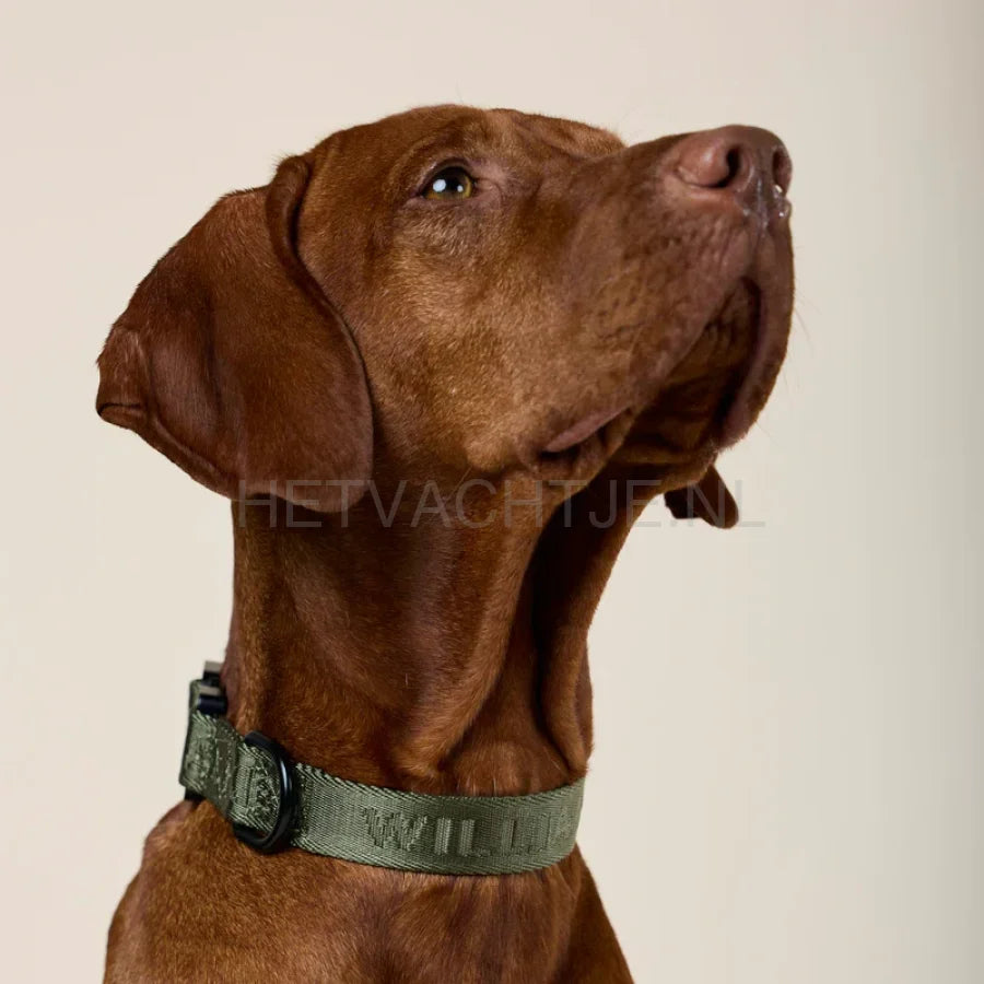 William Walker - Jacquard nylon hondenhalsband Forest