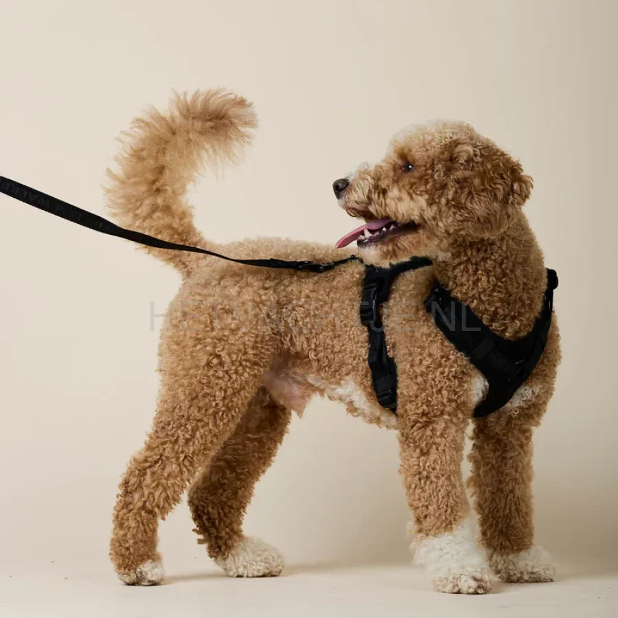 William Walker - Jacquard nylon hondenriem Nero