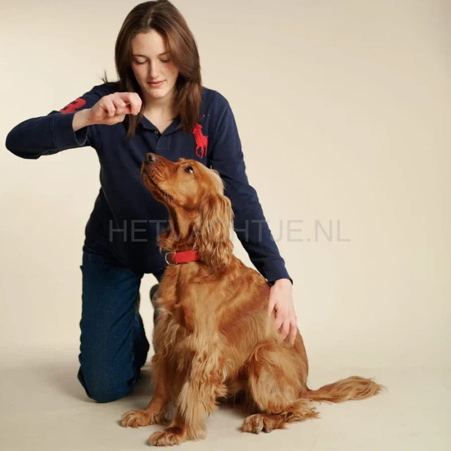 William Walker - Leren halsband Chilli