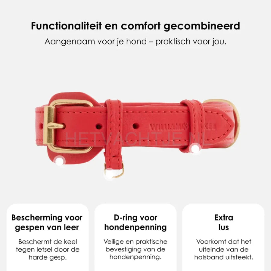 William Walker - Leren halsband Chilli
